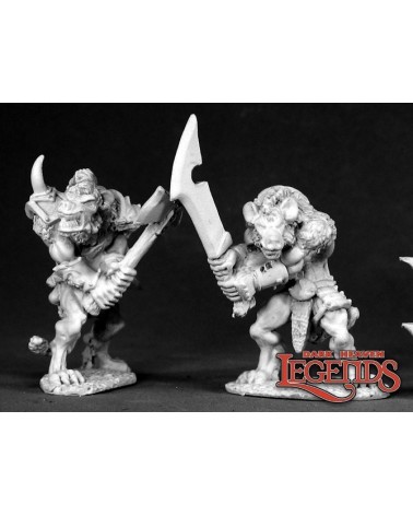 Gnoll Marauders