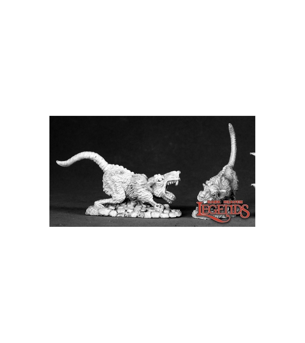 Barrow Rats