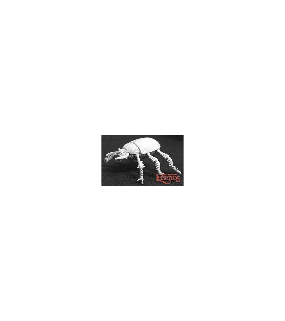 Giant Scarab Beetle