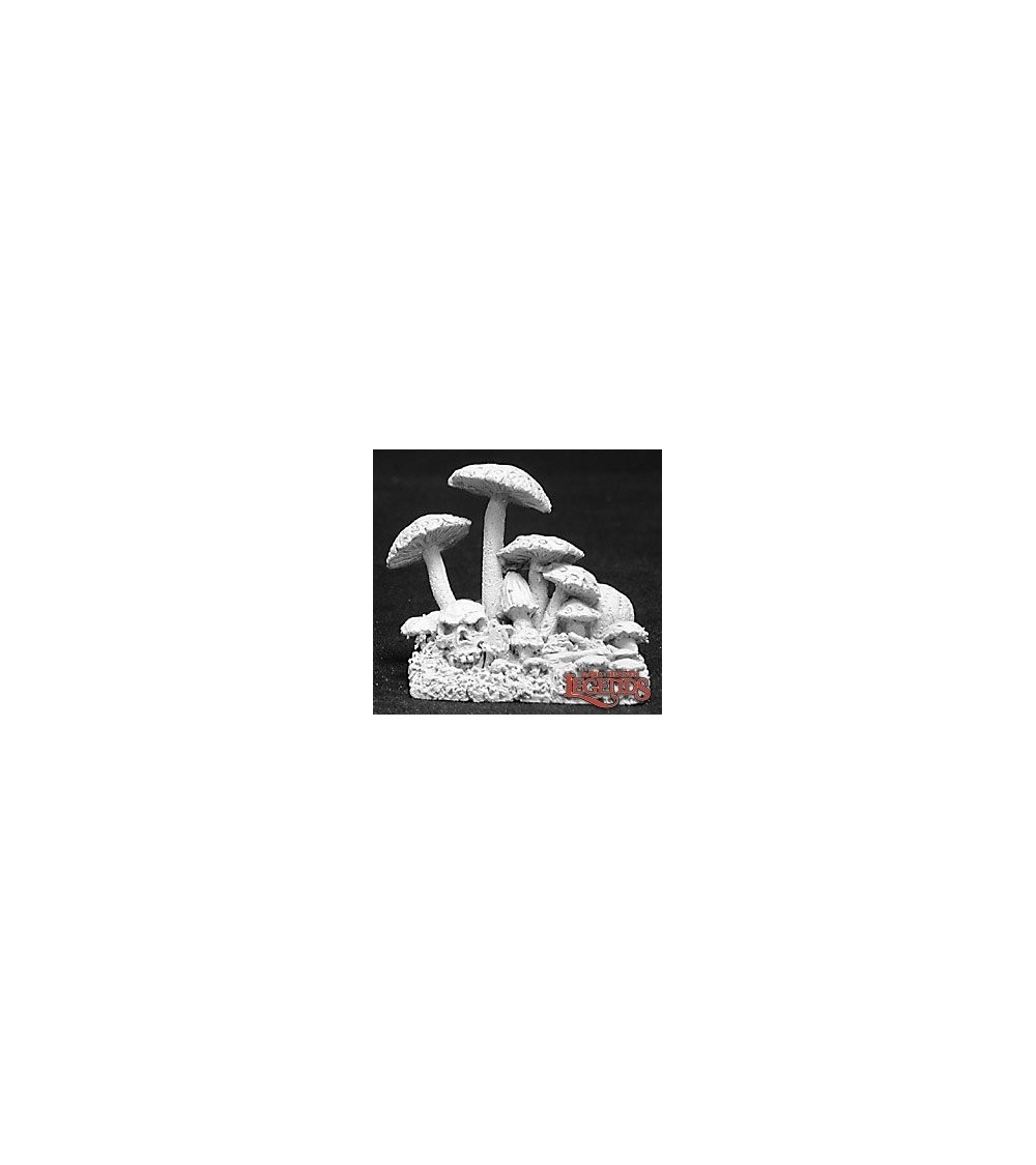 Fungus Patch