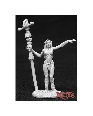 Witch of the Darkmoors