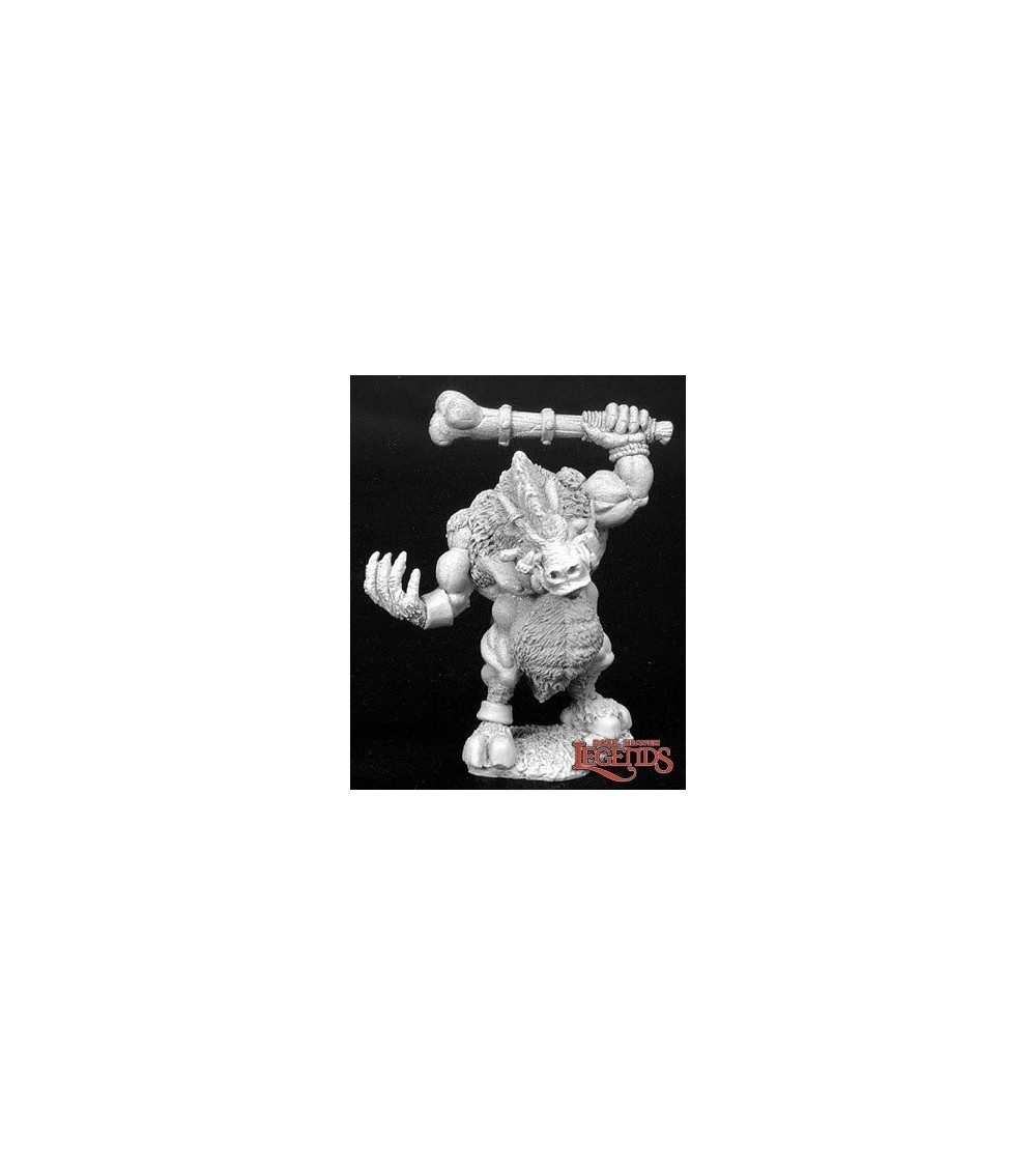 G'nort. Dire Wereboar