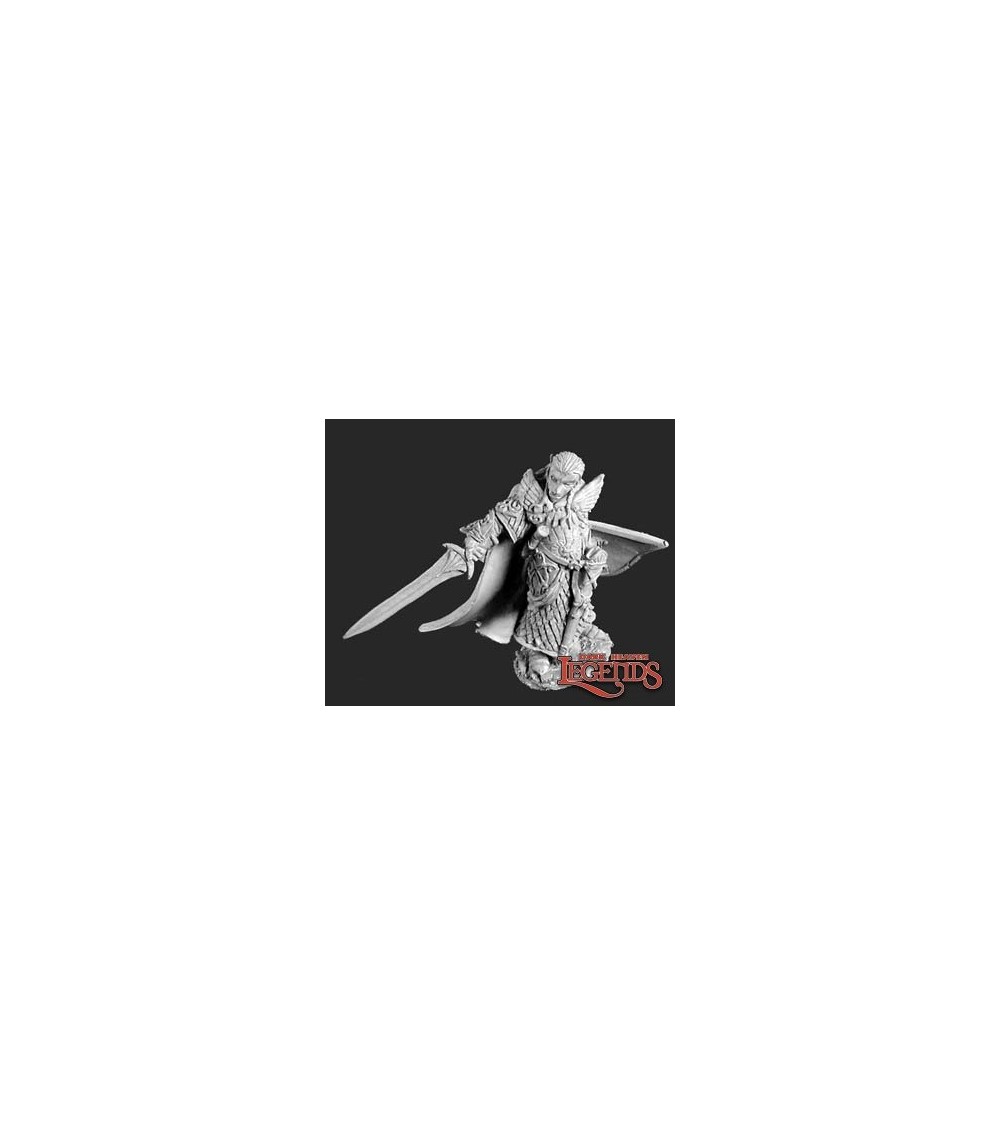 Turanil, Elf Paladin