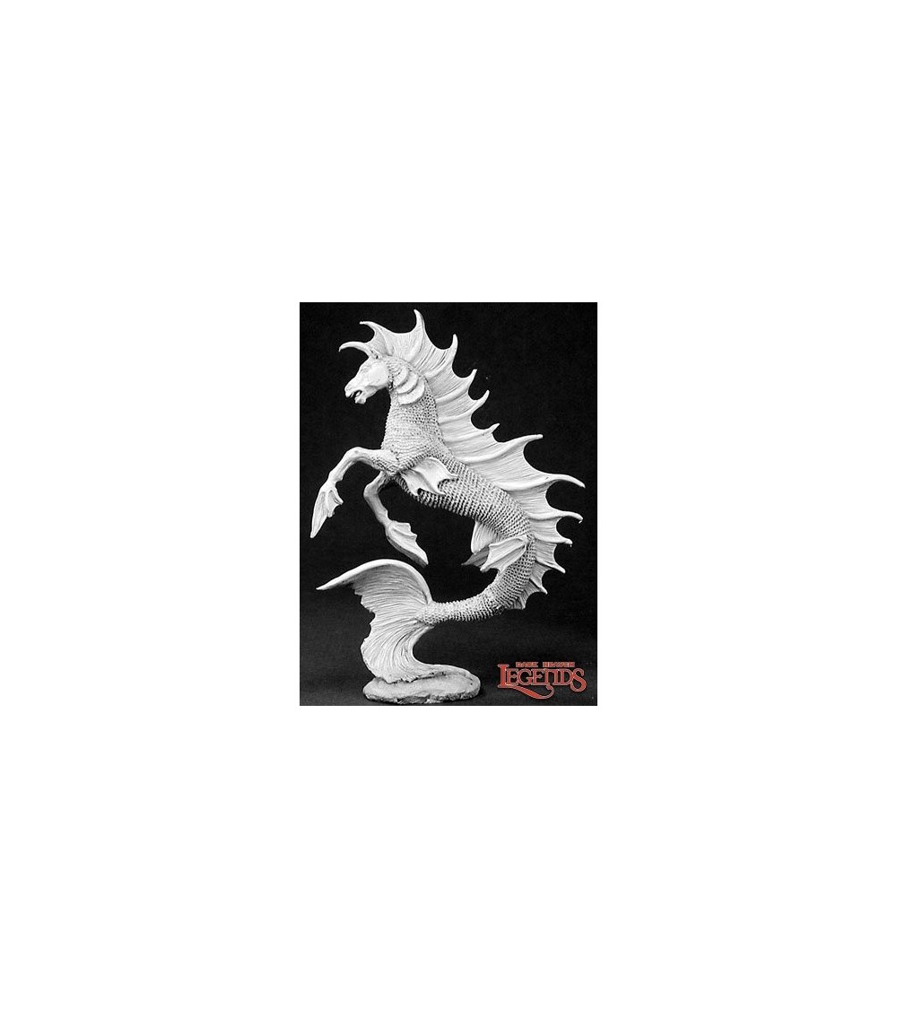 Hippocampus