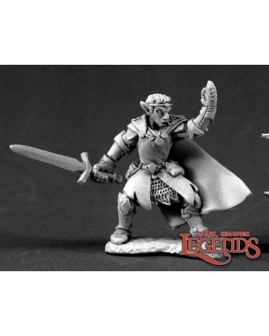 Argonnite, Elf Cleric