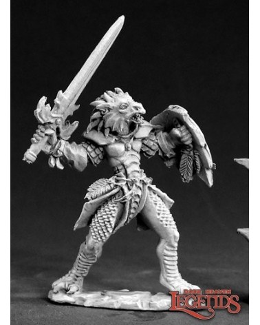 Na'Kaat, Female Half Dragon Paladin