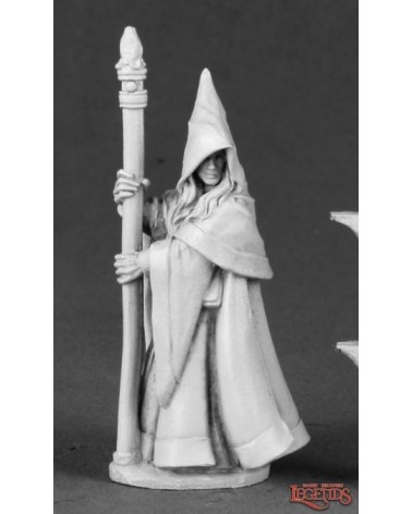 Anirion, Wood Elf Wizard