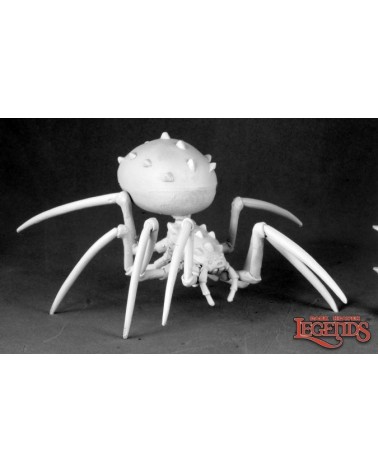 Deathspinner Spider