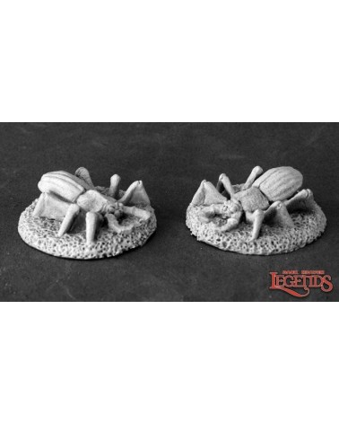Fire Beetles (2)