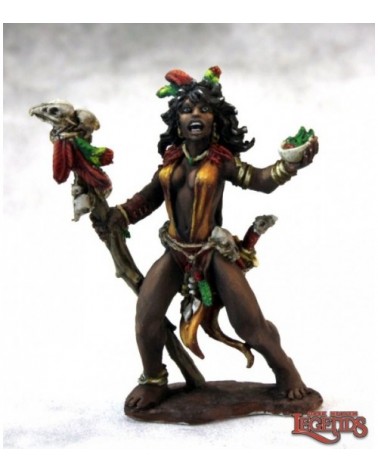 Witch of the Dark Moors