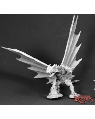 Western Desert Dragon