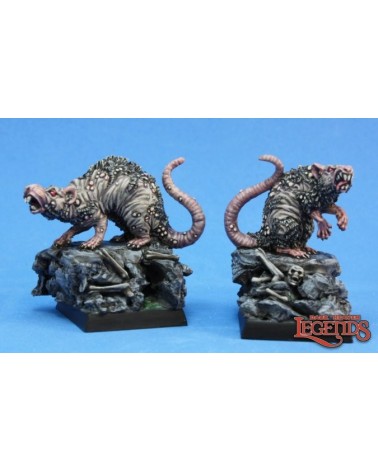 Barrow Rats (2)