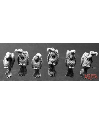 Vultures (6)