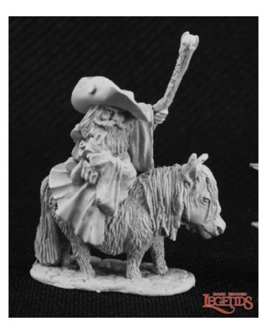 Dwarf Battlemage on Pony