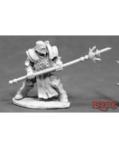 Crusader Defender (Spear)