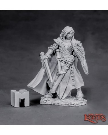 Alandin, Elf Paladin