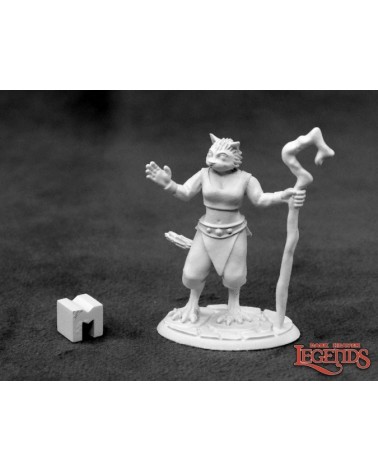 Mistveil, Catfolk Sorceress
