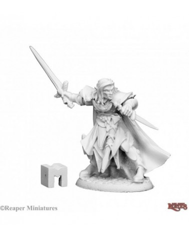Anduriel, Elf Paladin