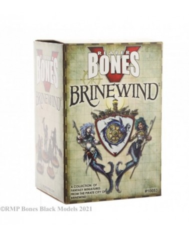 Bones 5 Brinewind Expansion Boxed Set