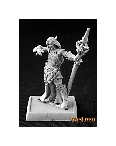 Larnach, Grey Elf Mage