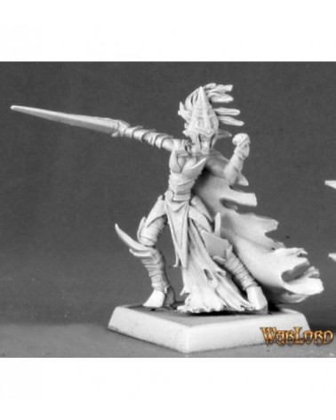 Shadowstep Warrior