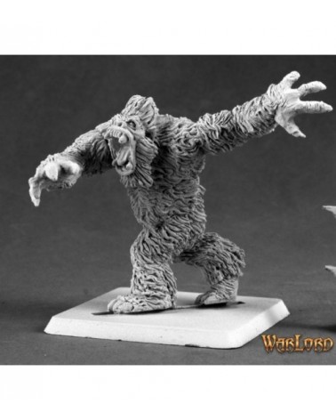 Yeti Warrior