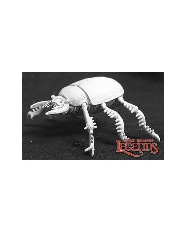 Giant Scarab Beetle