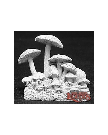 Fungus Patch