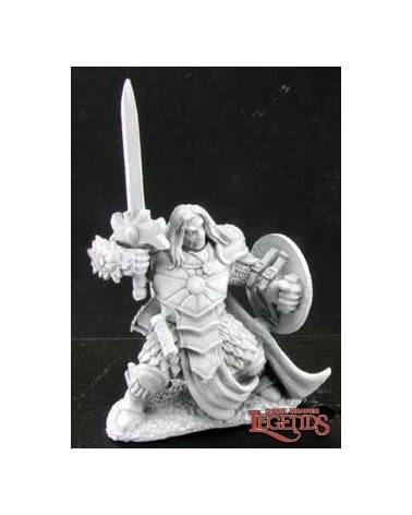Ansel, Paladin
