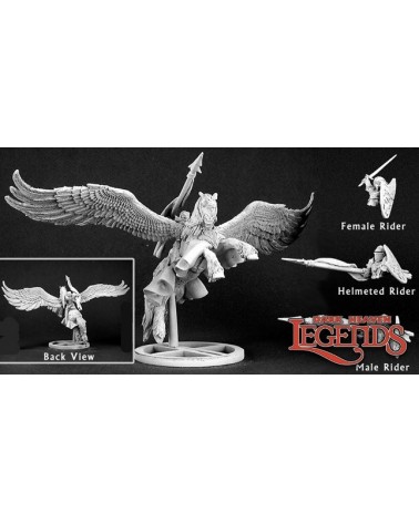 Barros & Tempest, Paladin on Pegasus