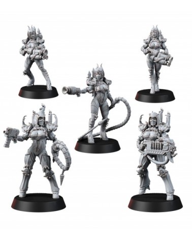 Chaos Sisters Of Excess Assault (5U)