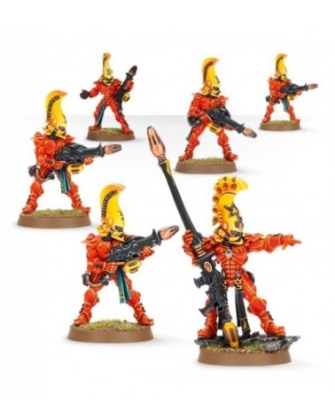 Fire Dragons