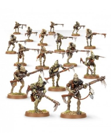 Kroot Carnivore Squad