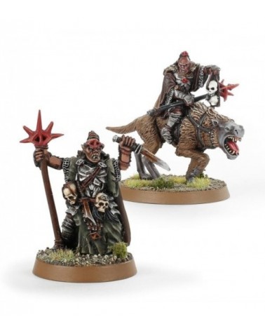 Orc Shaman on Warg