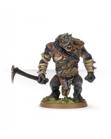 Hill Troll Chieftain Buhrdur