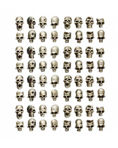 Human Skulls [In 28Mm Scale] (64U)