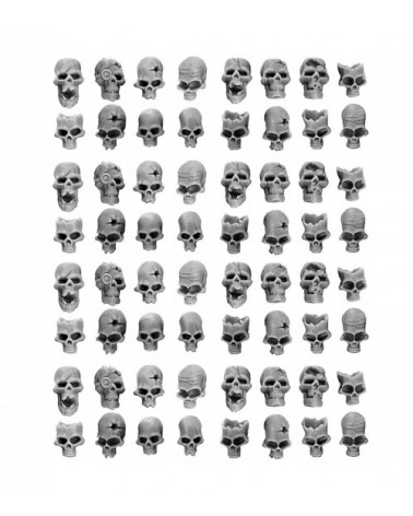 Human Skulls [In 28Mm Scale] (64U)