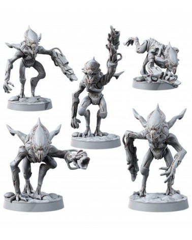 Demonic Void Realms Voidborne Daemonids Gun Bearers (5U)