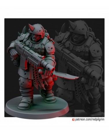 Chaos Oathbreaker With Autogun