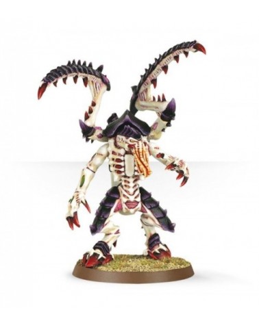 Lictor