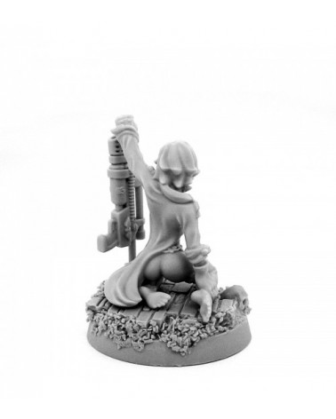 Imperial Soldier Pin-Up Female With Combi-Weapon