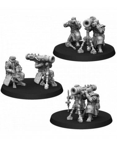 Ice Warriors Heavy Support Squad With Missile Launcher (3U)
