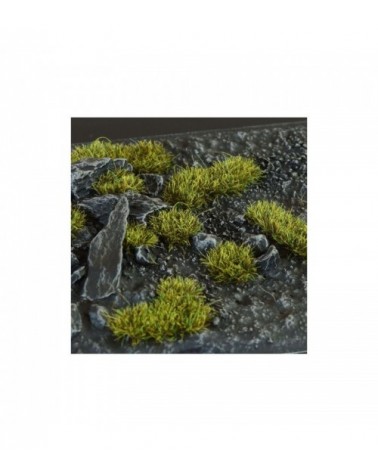 Dark Moss 2mm - Wild