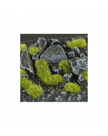 Moss 2mm - Wild