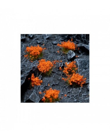 Orange Flowers - Wild