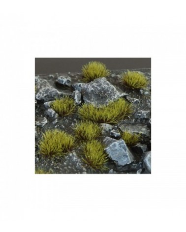 Swamp 4mm - Wild