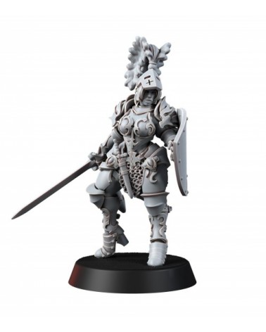 Imperial Soldiers Female Knight