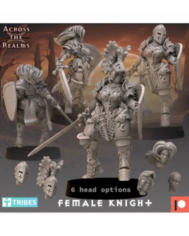 Imperial Soldiers Female Knight