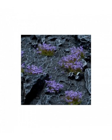 Violet Flowers - Wild