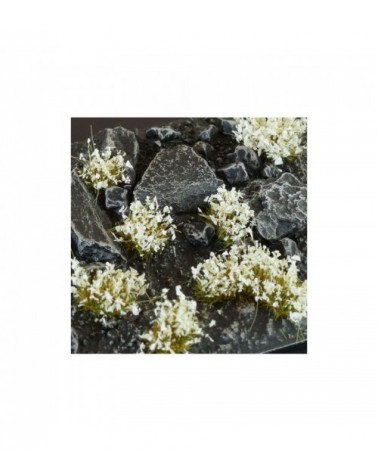 White Flowers - Wild